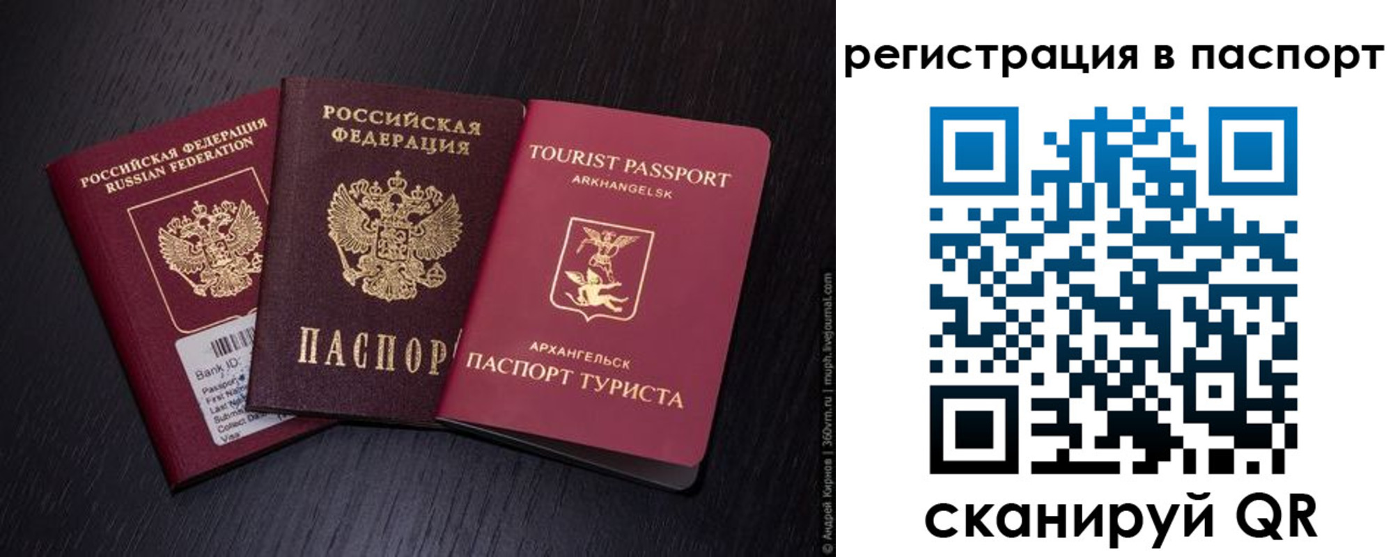 прописка в квартире в Новодвинске